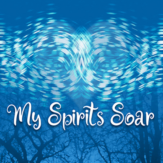 MY SPIRITS SOAR
