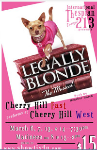 Legally Blonde The Musical show poster