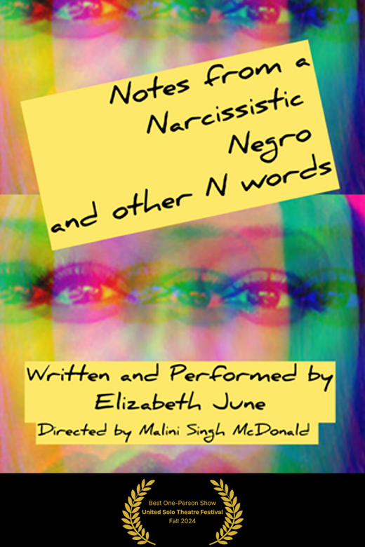 Notes from a Narcissistic Negro & Other N Words show poster