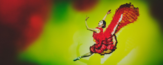 Don Quixote show poster