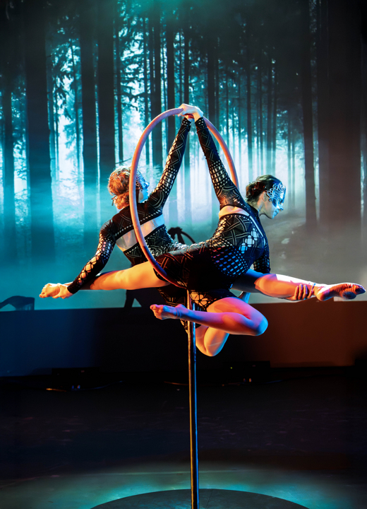 26th Annual Arizona Dance Festival 2025