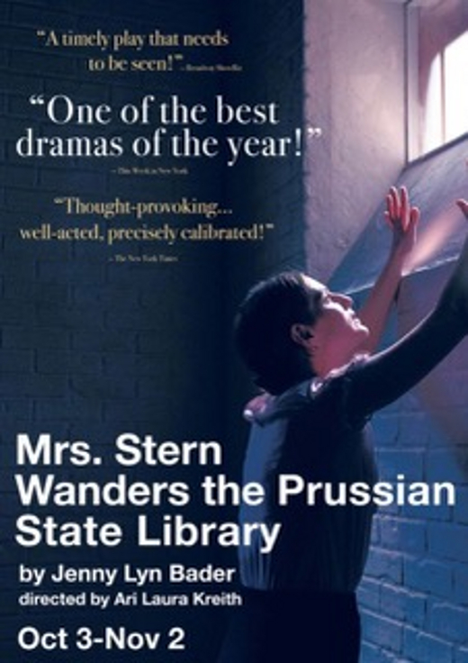 Mrs. Stern Wanders The Prussian State Library