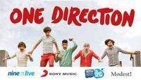 One Direction 2013 World Tour show poster