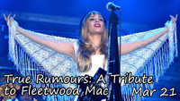 True Rumours: A Tribute to Fleetwood Mac show poster