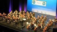 Young Orchestral Pops Orchestra & Friends: Annual Concert