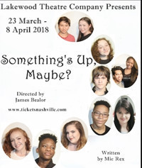 Something's Up, Maybe? show poster
