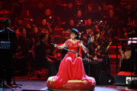 Enchanting China: An Orchestral Extravaganza