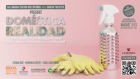Doméstica Realidad show poster