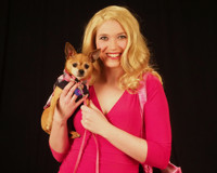Legally Blonde show poster