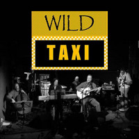 Wild Taxi: A Tribute Concert to Yusuf/Cat Stevens & Harry Chapin show poster