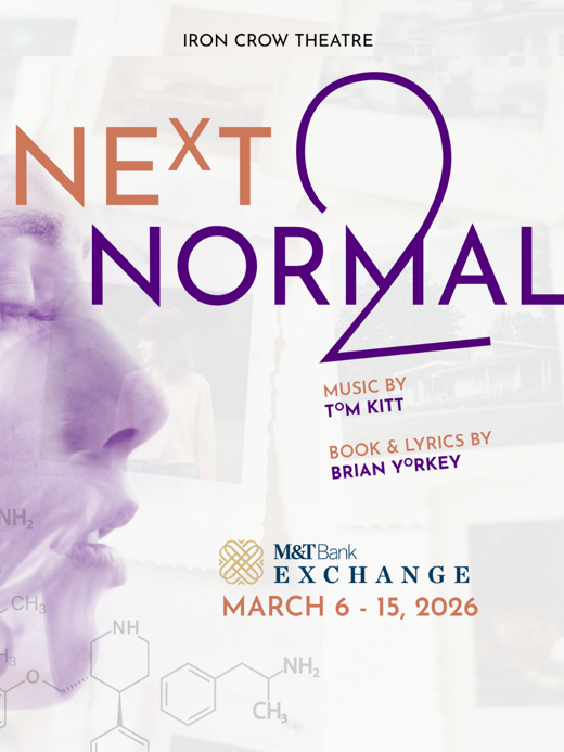 Next to Normal show poster