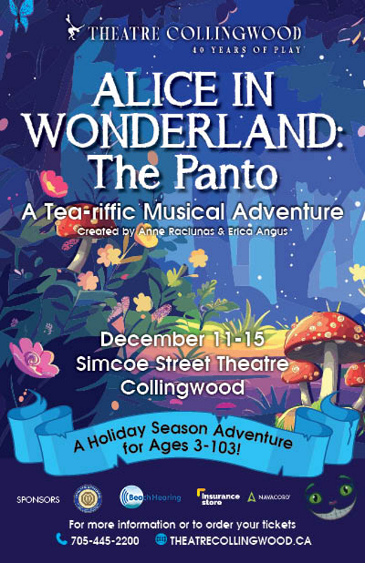 Alice in Wonderland: The Panto show poster