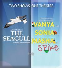 The Seagull show poster