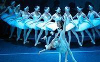 State Ballet Theatre Of Russia: Swan Lake