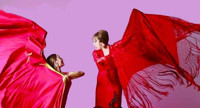 Carolina Lugo's & Carolé Acuña's Ballet Flamenco show poster