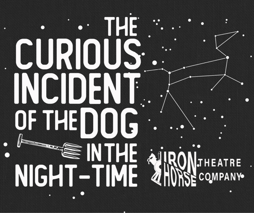 The Curious Incident of the Dog in the Night-time