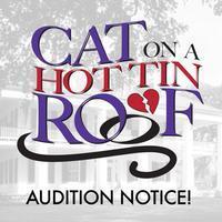 Cat On A Hot Tin Roof show poster