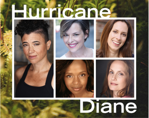  Hurricane Diane show poster