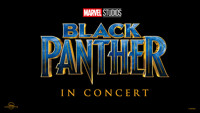 Black Panther in Concert show poster