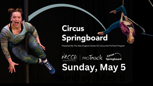 NECCA Presents: Circus Springboard show poster