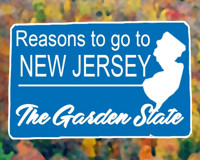Reasons to Go to New Jersey show poster