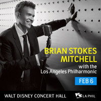 Brian Stokes Mitchell show poster