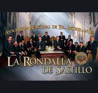 Great Concert, Former Members of The Rondalla Saltillo, The Dandys, The Memorandum And Rondalla Rondalla Chapala