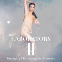 Laboratory II
