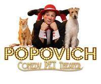 Popovich Comedy Pet Theatre
