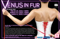 Venus In Fur show poster