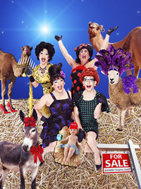 Oy Vey in a Manger show poster
