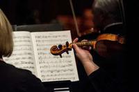 Afternoon Concert: Strauss and Halvorsen