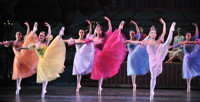 New Jersey Ballet's Nutcracker 