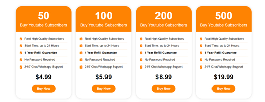 The Complete Guide to Purchasing YouTube Subscribers Safely show poster