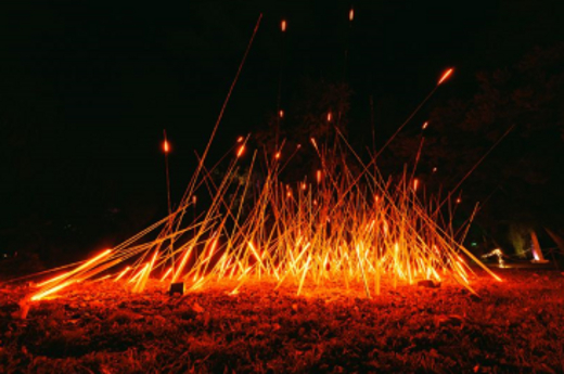 Lightscape at Brooklyn Botanic Garden