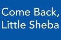Come Back, Little Sheba show poster