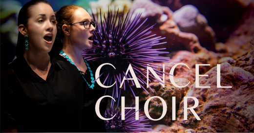 Cancel Choir show poster