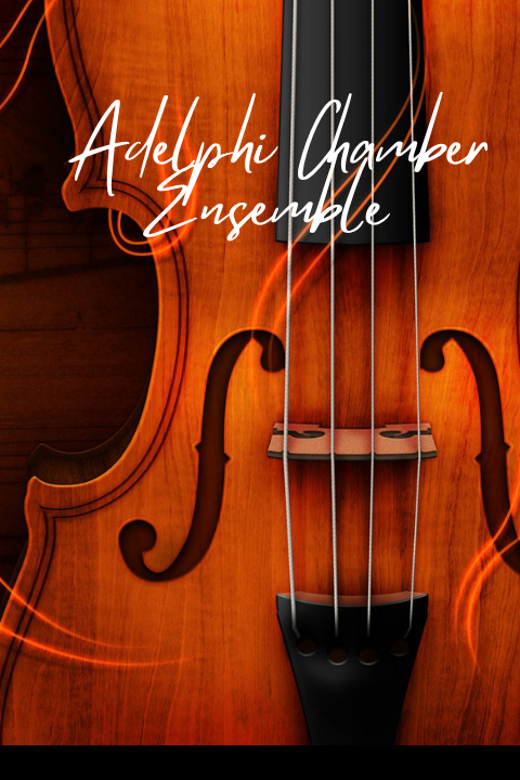 Adelphi Chamber Orchestra in New Jersey