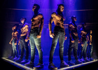 Magic Mike Live show poster