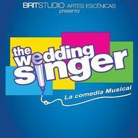 THE WEDDING SINGER show poster