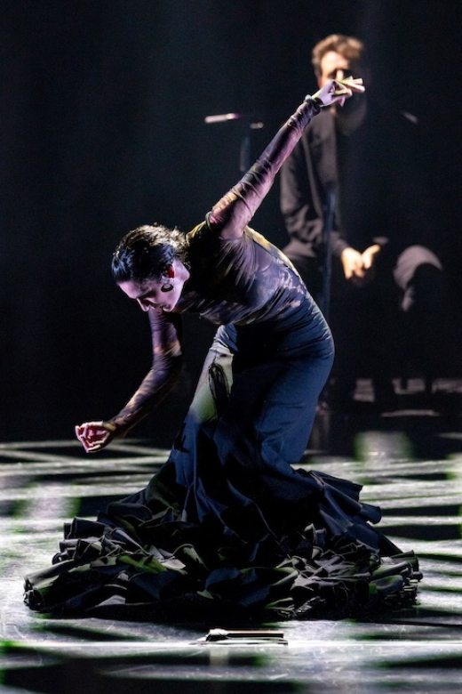 QUINTO ELEMENTO show poster