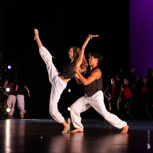 Mateo Motion XXII
