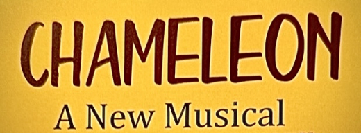 Chameleon - A New Musical show poster