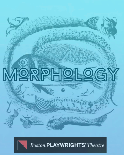 Morphology in Boston