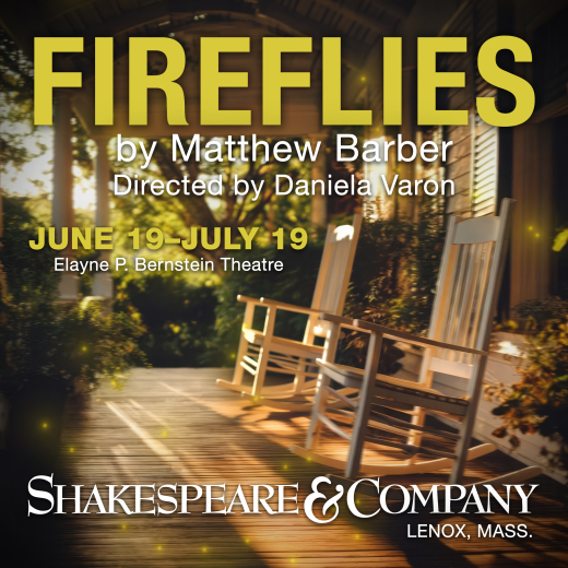 Fireflies in Boston