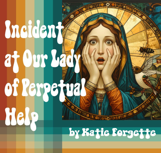 Incident at Our Lady of Perpetual Help  in Central New York