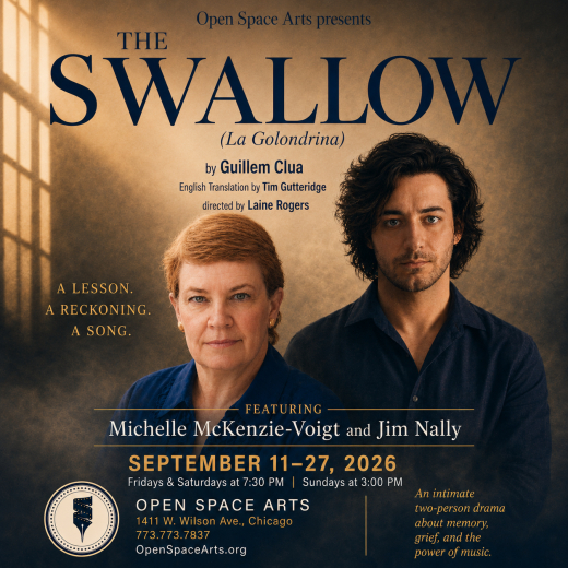 The Swallow in Chicago