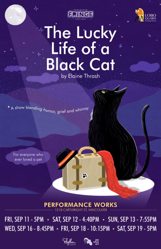 The Lucky Life of a Black Cat