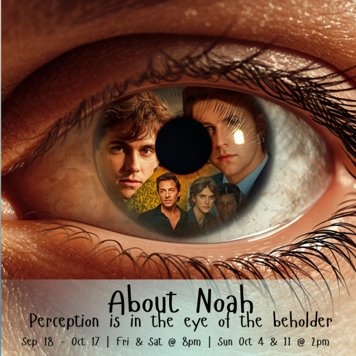 About Noah by Paula Coco in Houston