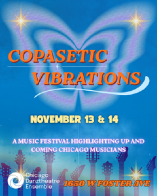 Copasetic Vibrations: A Music Festival in Chicago